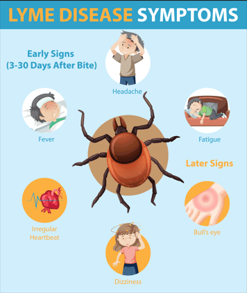 Lyme-Disease-Ke-Karan-or-Lakshan Lyme Disease के कारण ओर लक्षण